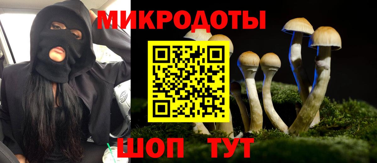Галлюциногенные грибы GOLDEN TEACHER Алексеевка